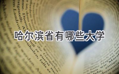 哈尔滨省有哪些大学