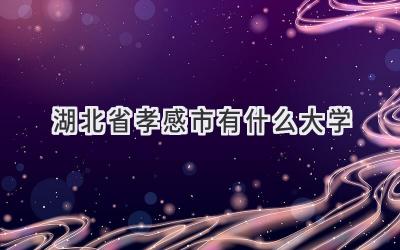 湖北省孝感市有什么大学