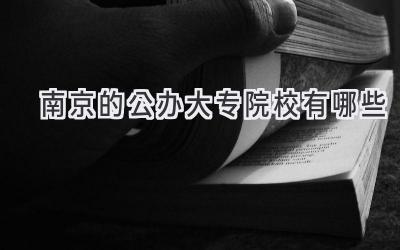 南京的公办大专院校有哪些