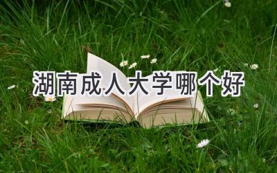 湖南成人大学哪个好