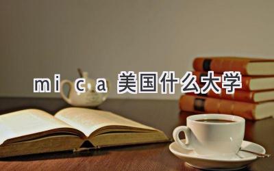 mica美国什么大学