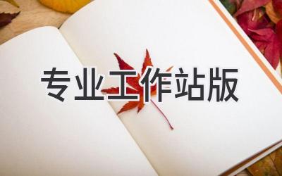 专业工作站版