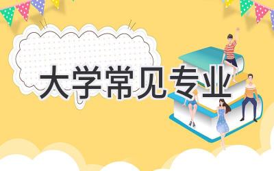 大学常见专业