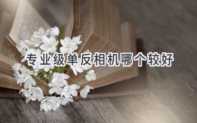 专业级单反相机哪个较好