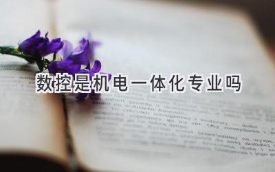 数控是机电一体化专业吗