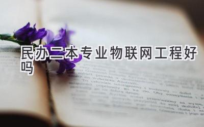 民办二本专业物联网工程好吗