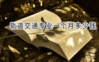 轨道交通专业一个月多少钱