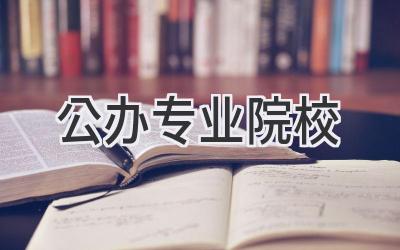 公办专业院校