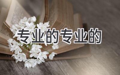 专业的专业的