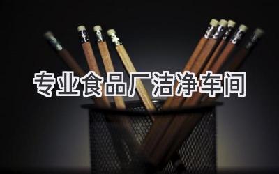 专业食品厂洁净车间