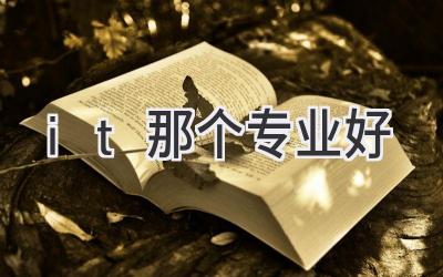 it那个专业好