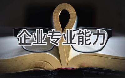 企业专业能力