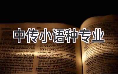 中传小语种专业