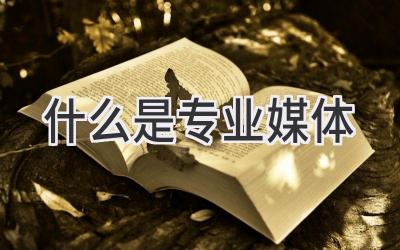 什么是专业媒体