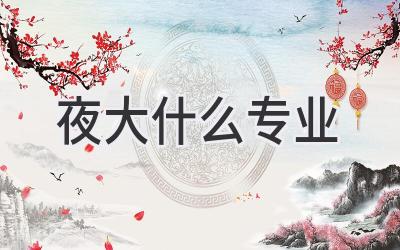 夜大什么专业