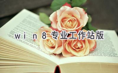 win8专业工作站版