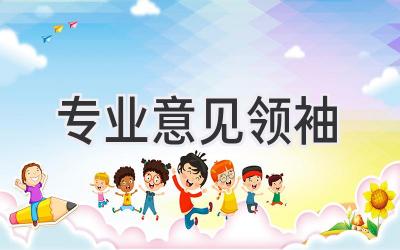 专业意见领袖