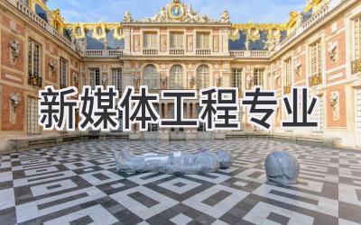 新媒体工程专业