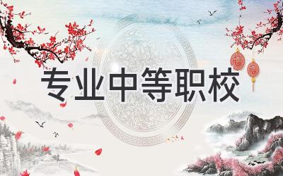 专业中等职校