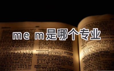 mem是哪个专业