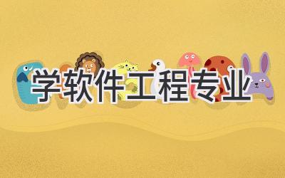 学软件工程专业