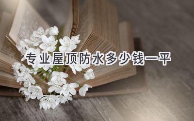 专业屋顶防水多少钱一平