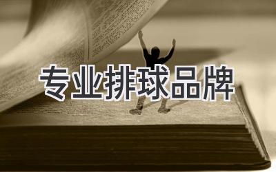 专业排球品牌