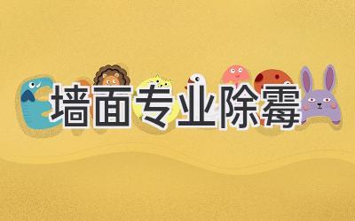 墙面专业除霉