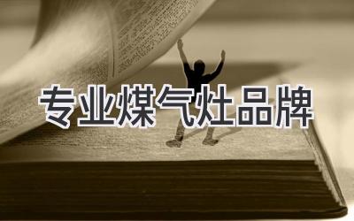 专业煤气灶品牌