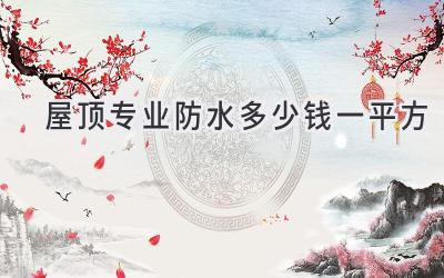 屋顶专业防水多少钱一平方