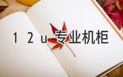 12u专业机柜