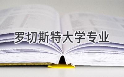 罗切斯特大学专业