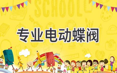 专业电动蝶阀