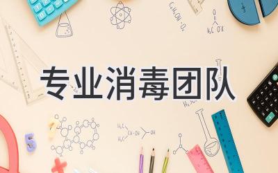 专业消毒团队