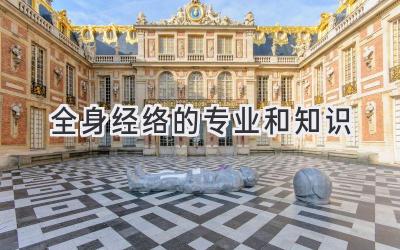 全身经络的专业和知识