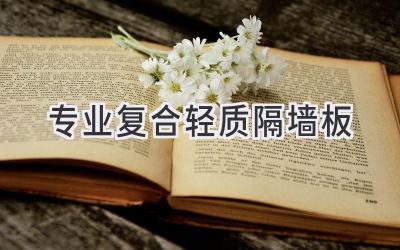 专业复合轻质隔墙板