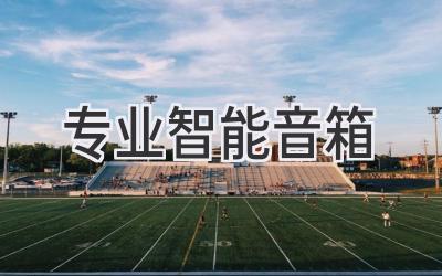 专业智能音箱