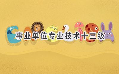 事业单位专业技术十三级