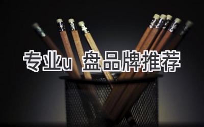 专业u盘品牌推荐