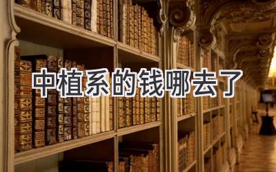 中植系的钱哪去了