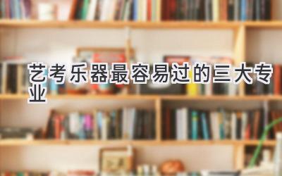 艺考乐器最容易过的三大专业