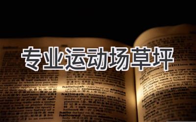 专业运动场草坪