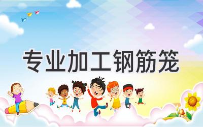 专业加工钢筋笼
