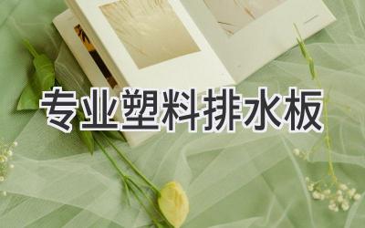 专业塑料排水板
