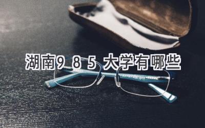 湖南985大学有哪些