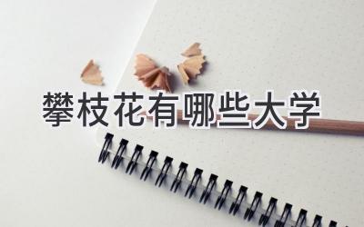 攀枝花有哪些大学