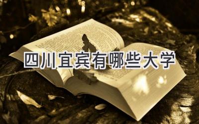 四川宜宾有哪些大学