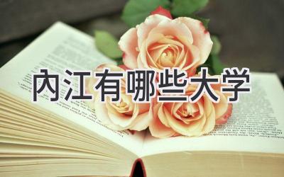 内江有哪些大学