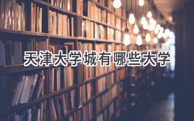 天津大学城有哪些大学