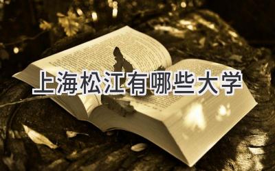 上海松江有哪些大学